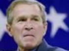 bush of aap?